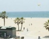 pet friendly hotel in venice beach, hotel venice beach dogs allowed