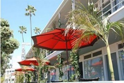 dogs allowed hotels in venice beach, pet friendly hotel in venice beach california