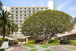 dogs allowed hotels in venice beach, pet friendly hotel in venice beach california