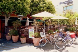 pet friendly restaurant in venice beach california