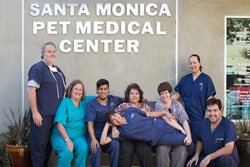 pet friendly vets in los angeles, california, vet in LA