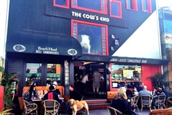 pet friendly restaurant in venice beach california